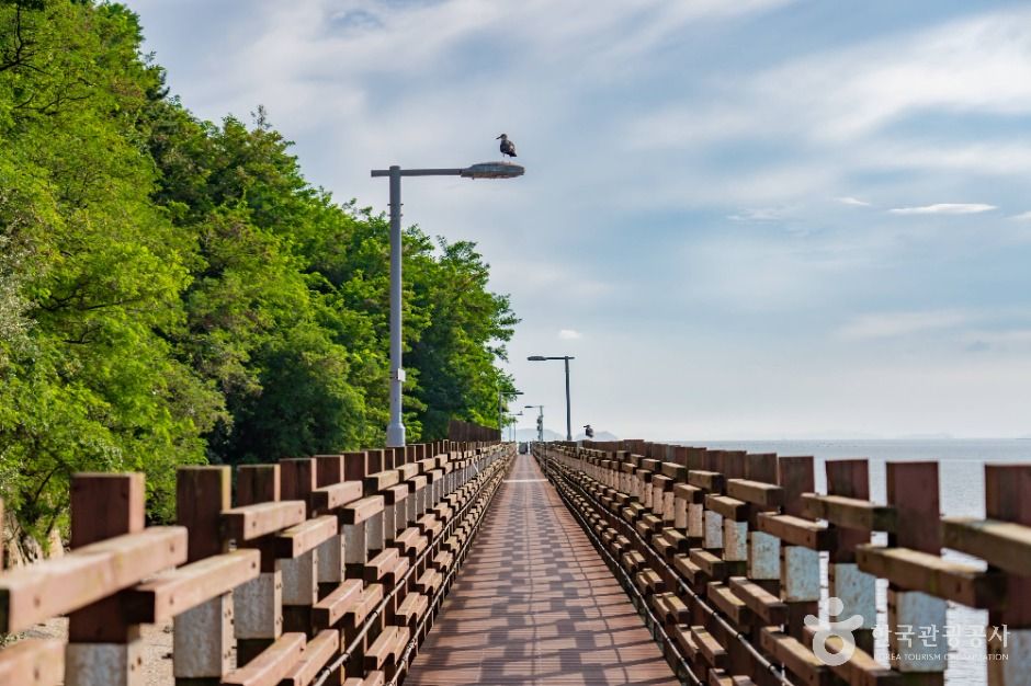 화성_제부도 해안산책로(제비꼬리길) (7)