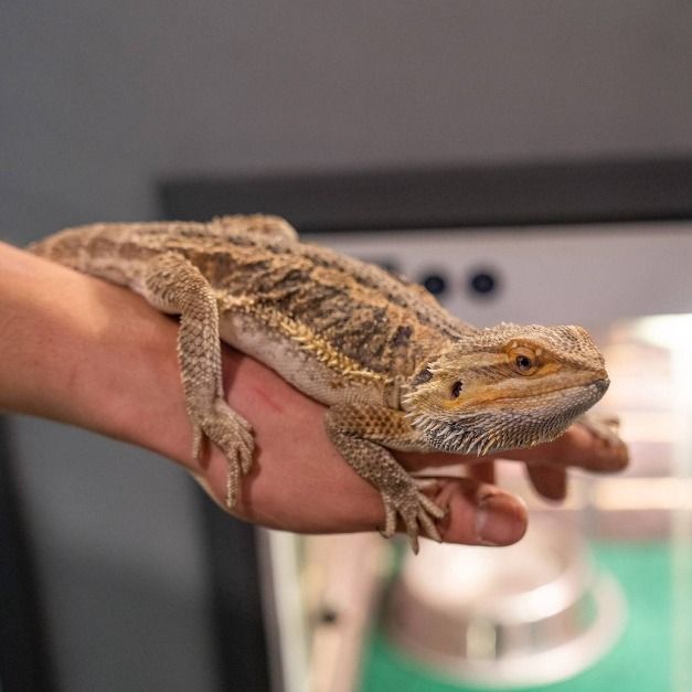 포천_주파크 (3)