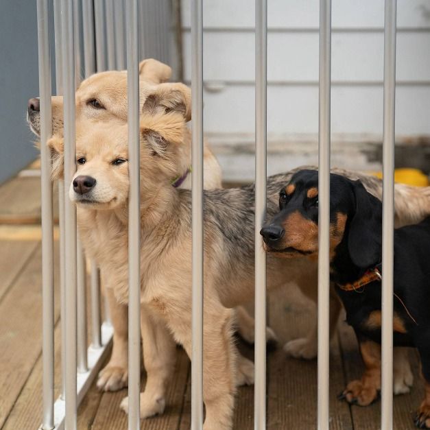 포천_주파크 (4)