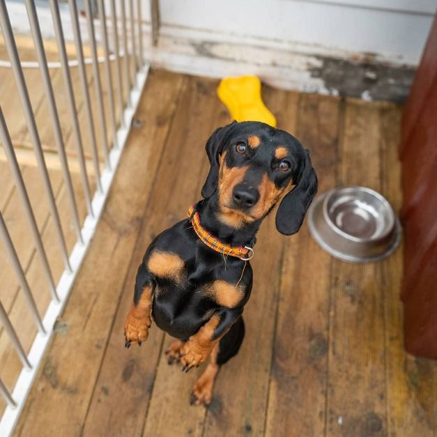 포천_주파크 (5)