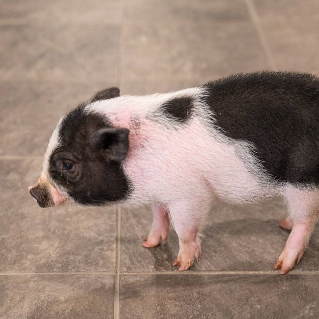 포천_주파크 (6)