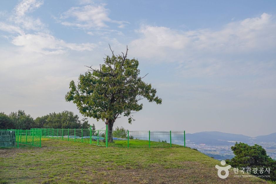 안성_죽주산성 (4)