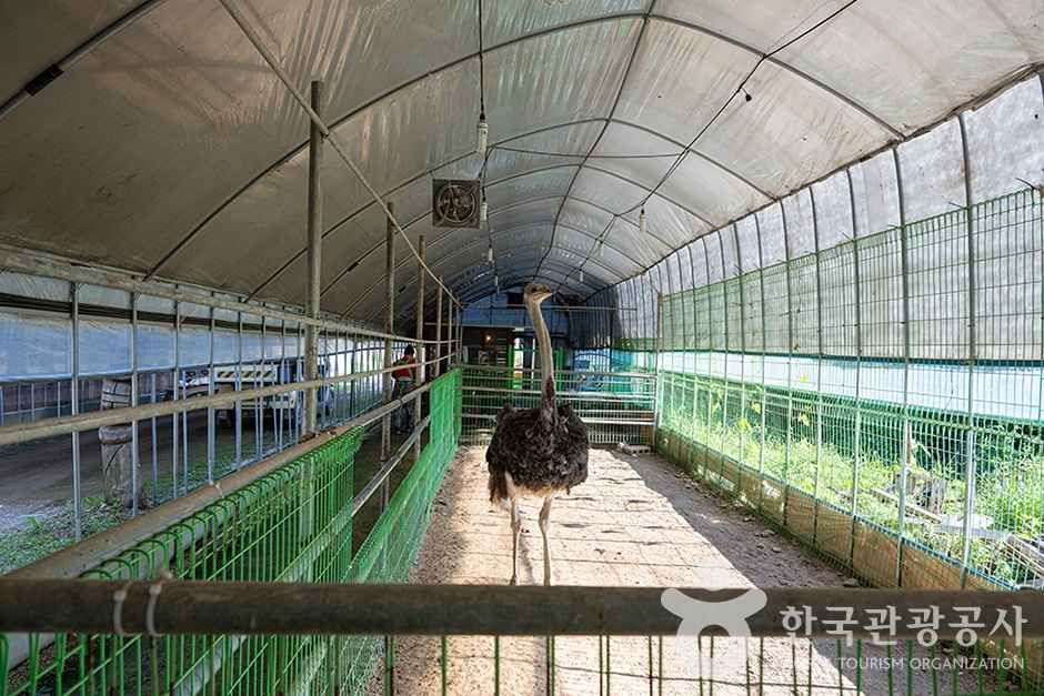 찬우물 체험동물농장 (2)