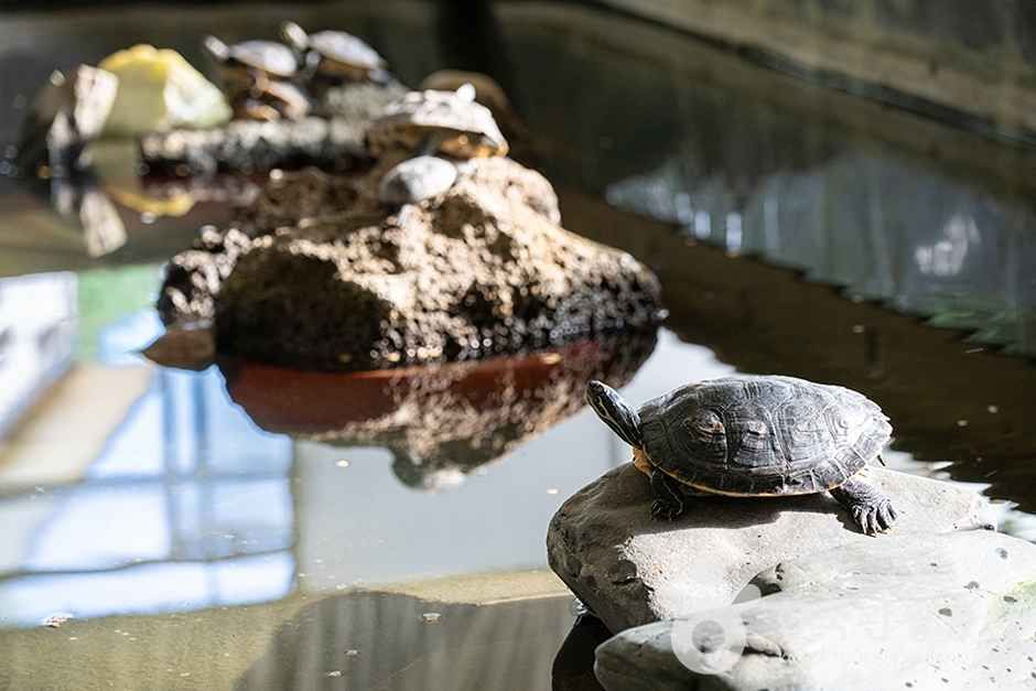 찬우물 체험동물농장 (5)