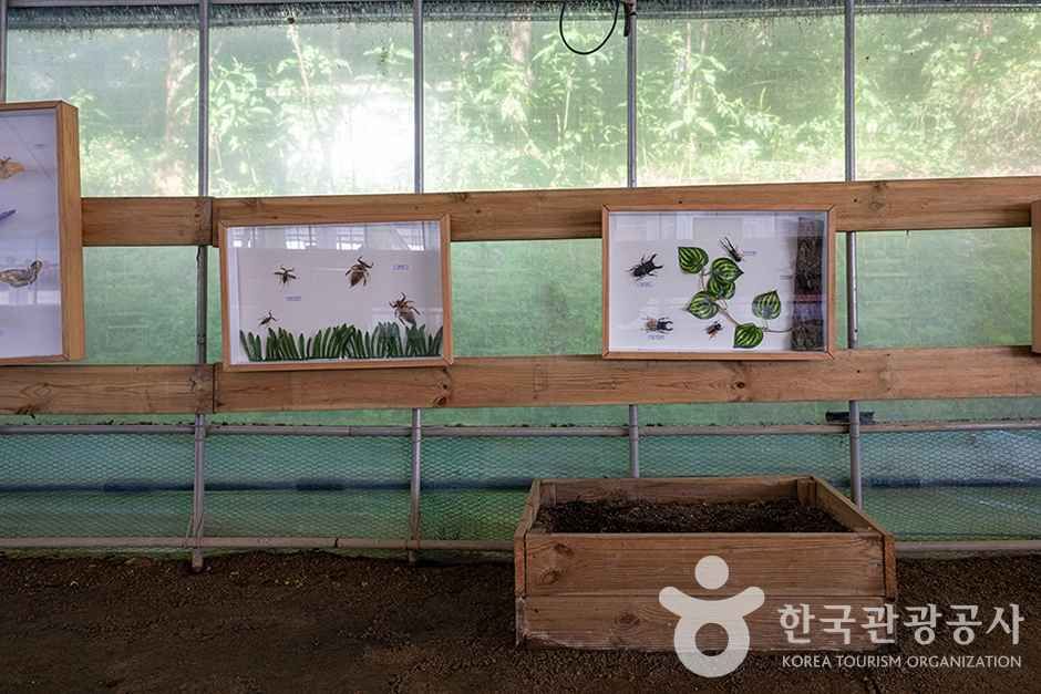 찬우물 체험동물농장 (6)