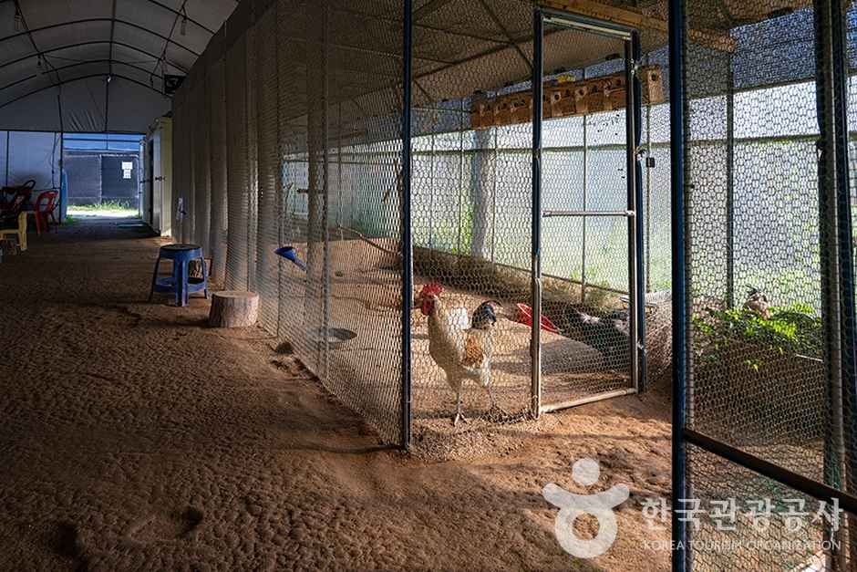 찬우물 체험동물농장 (12)