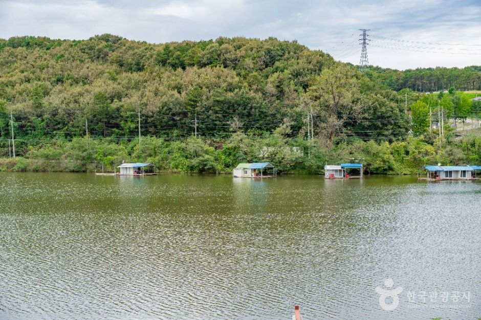 용인_창리저수지 (3)