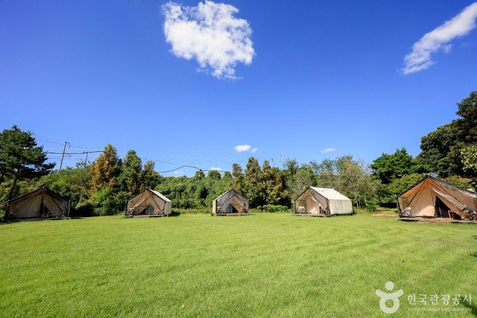 이천_청암관광농원 (2)