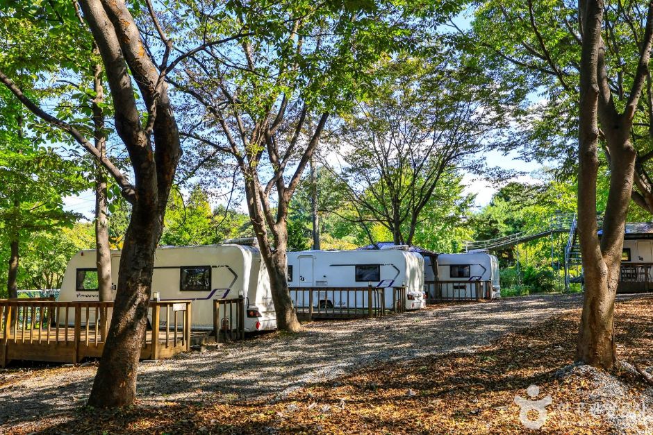 이천_청암관광농원 (3)