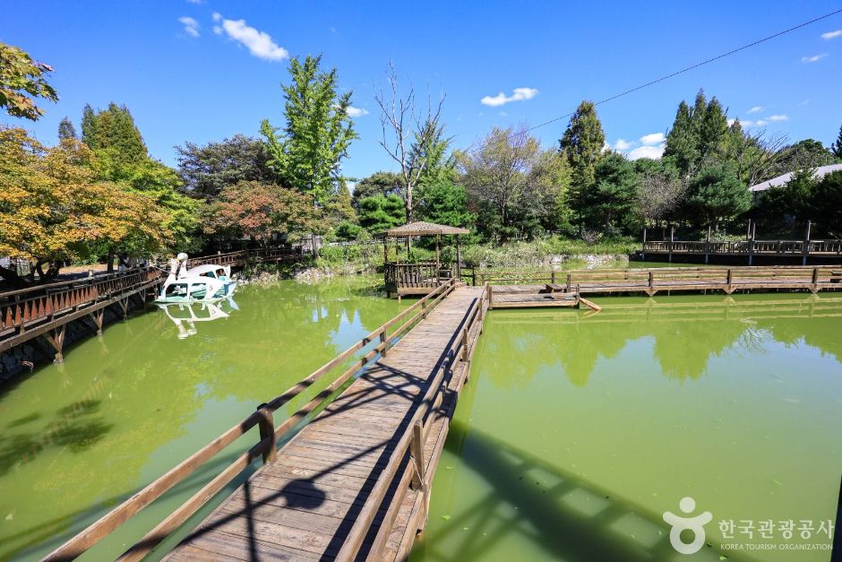 이천_청암관광농원 (4)