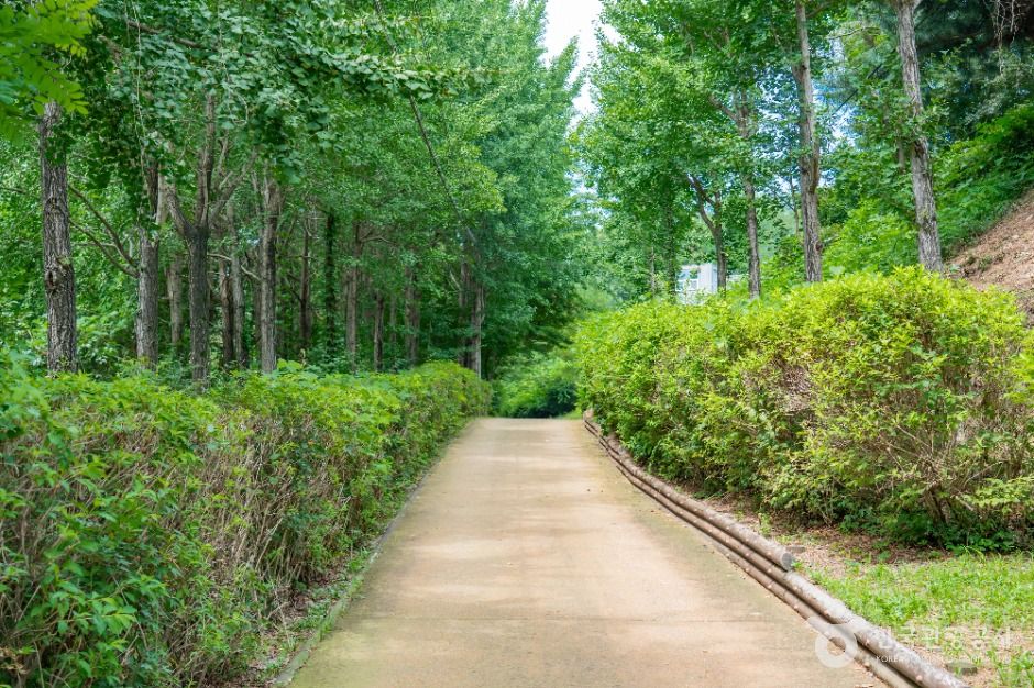 화성_초록산산림욕장 (2)