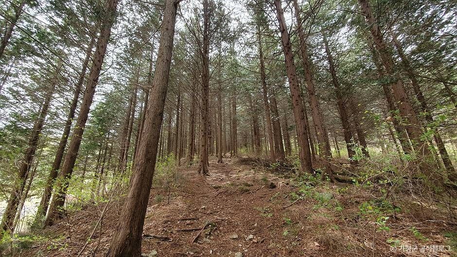 가평_초롱이둥지마을 (1)