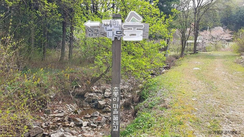 가평_초롱이둥지마을 (3)