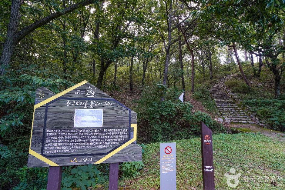 고양_최영장군묘 (1)