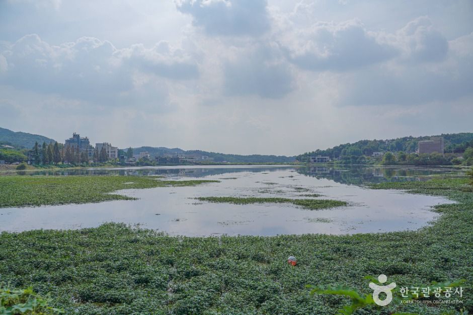 안성_칠곡저수지 (4)