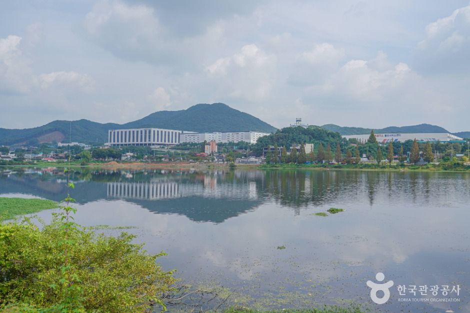 안성_칠곡저수지 (5)