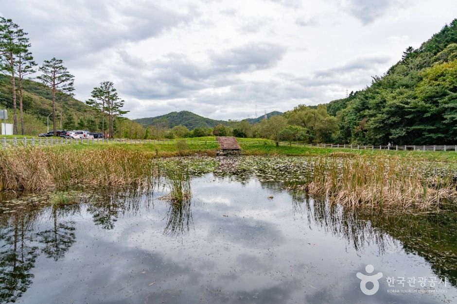 용인_침강저류지 (2)