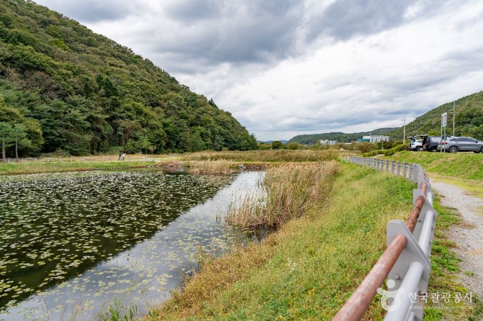 용인_침강저류지 (3)