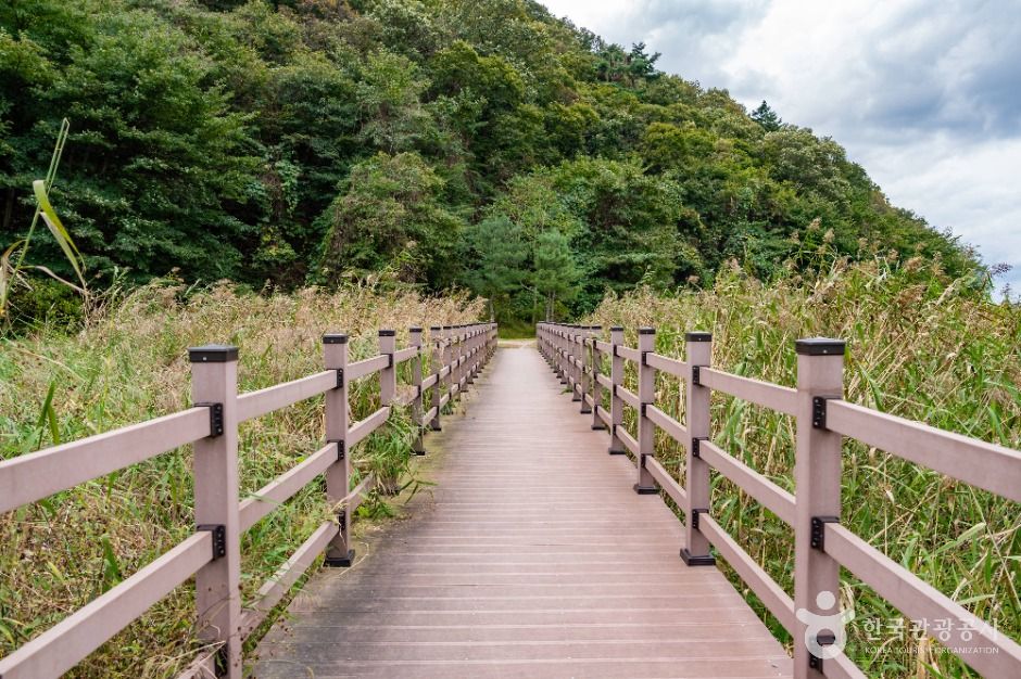 용인_침강저류지 (4)