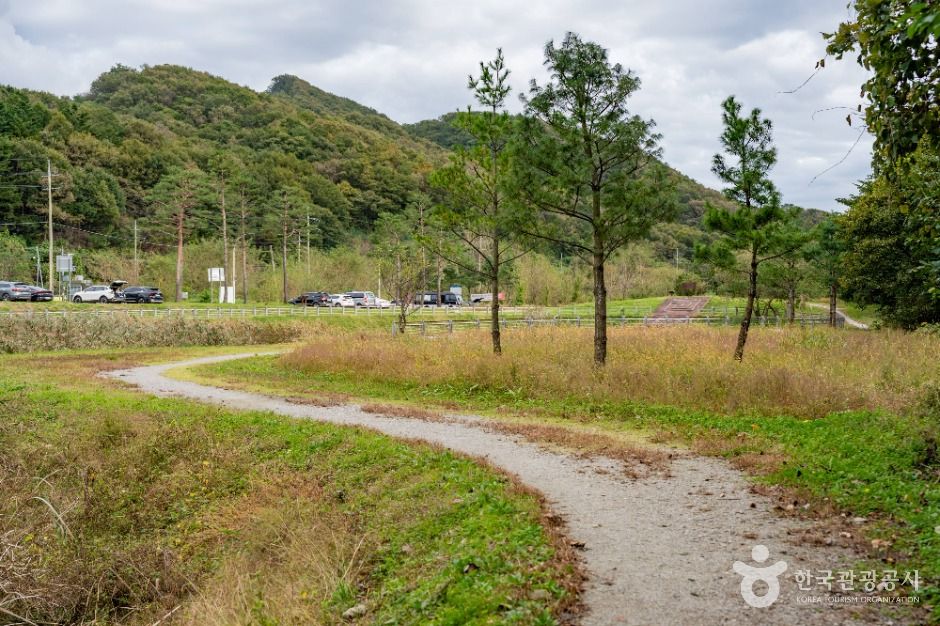 용인_침강저류지 (5)