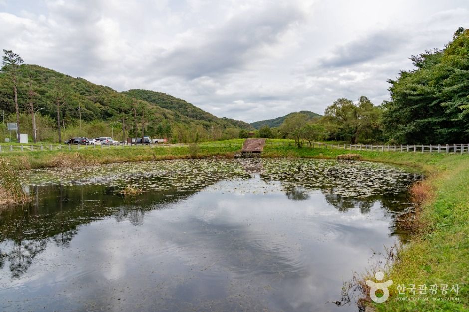 용인_침강저류지 (6)