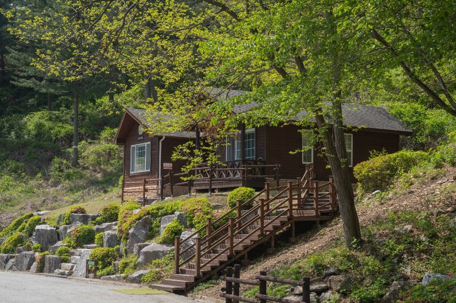 가평_칼봉산자연휴양림_숲속의집 외부 (1)