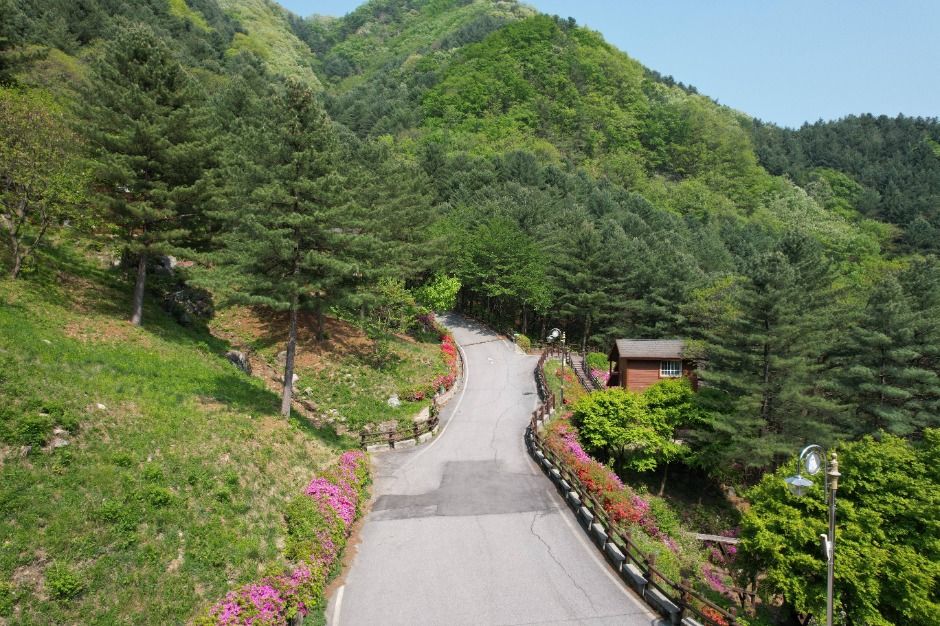 가평_칼봉산자연휴양림_전경 (2)