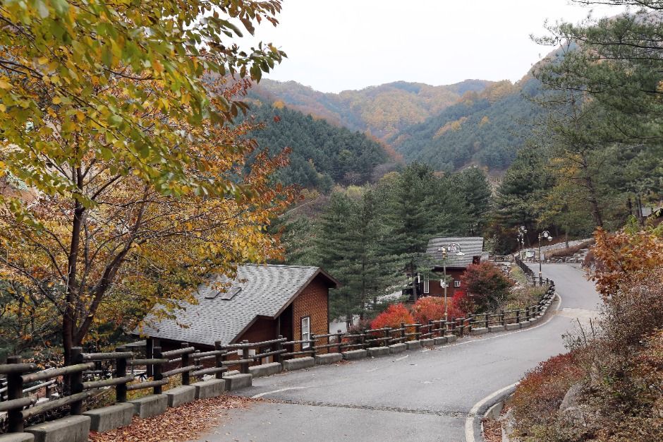 가평_칼봉산자연휴양림_전경 (3)