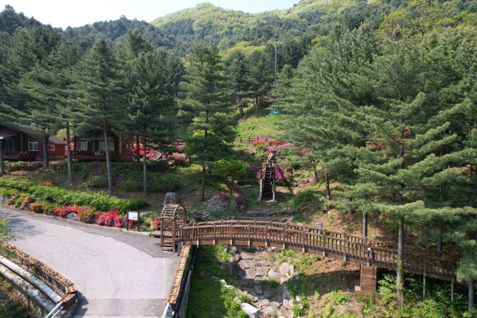 가평_칼봉산자연휴양림_전경 (4)