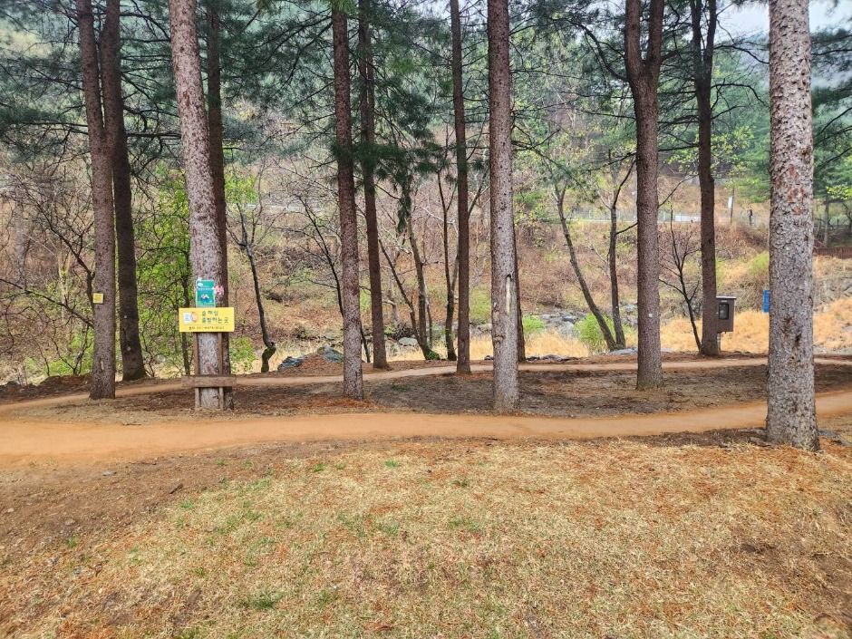 가평_칼봉산자연휴양림_전경 (8)