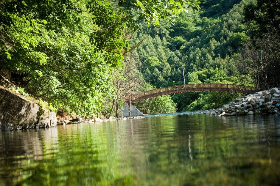 가평_칼봉산자연휴양림_전경 (10)