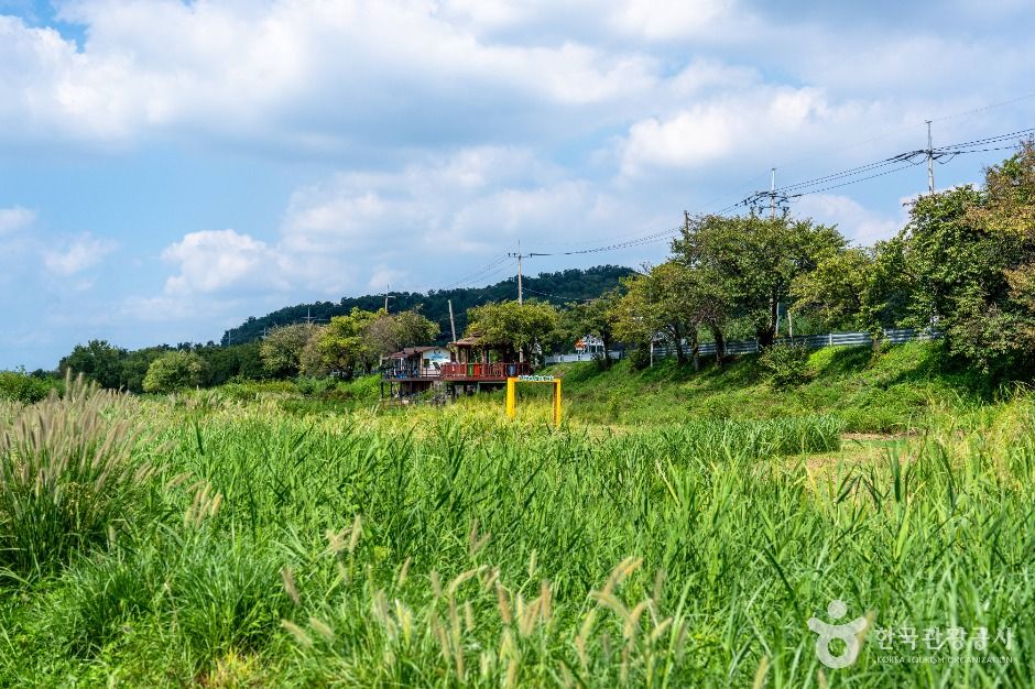 탄천민물고기습지생태원