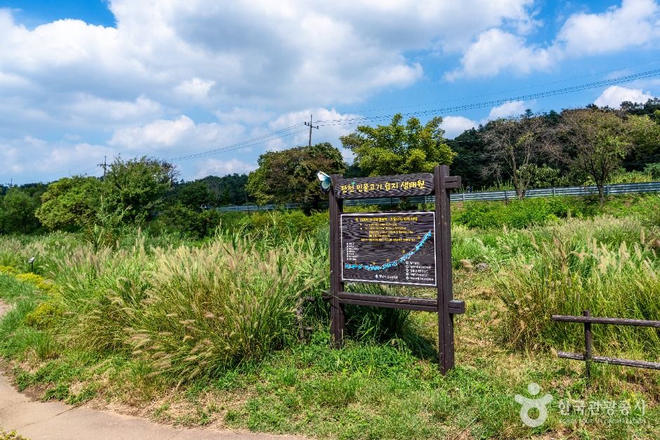 성남_탄천민물고기습지생태원 (2)