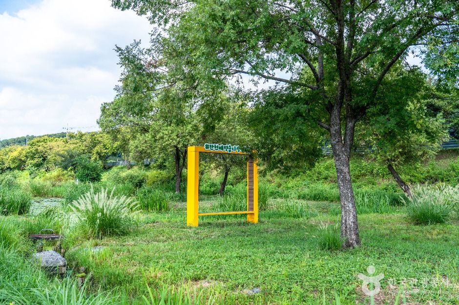 성남_탄천민물고기습지생태원 (3)