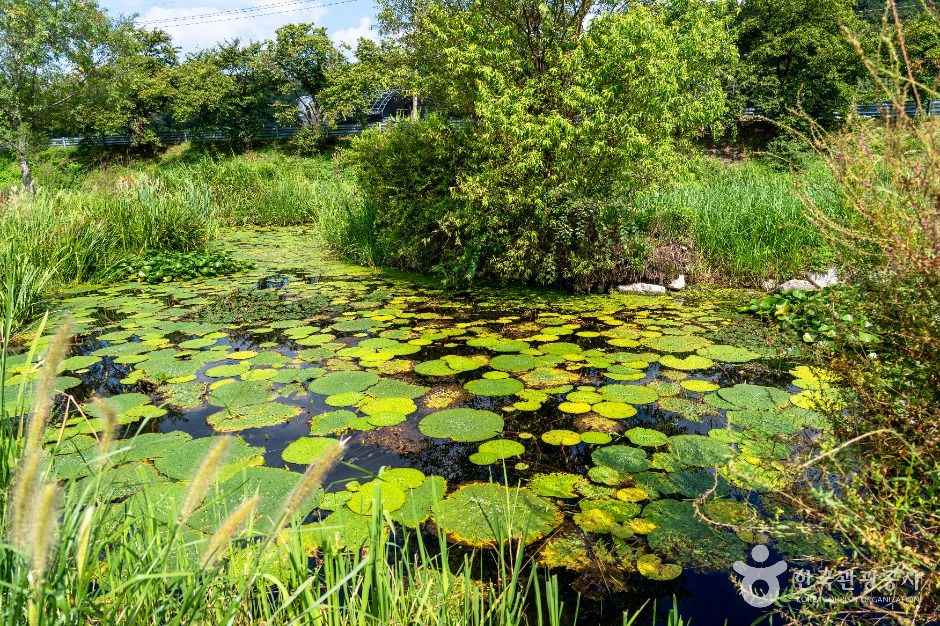 성남_탄천민물고기습지생태원 (4)