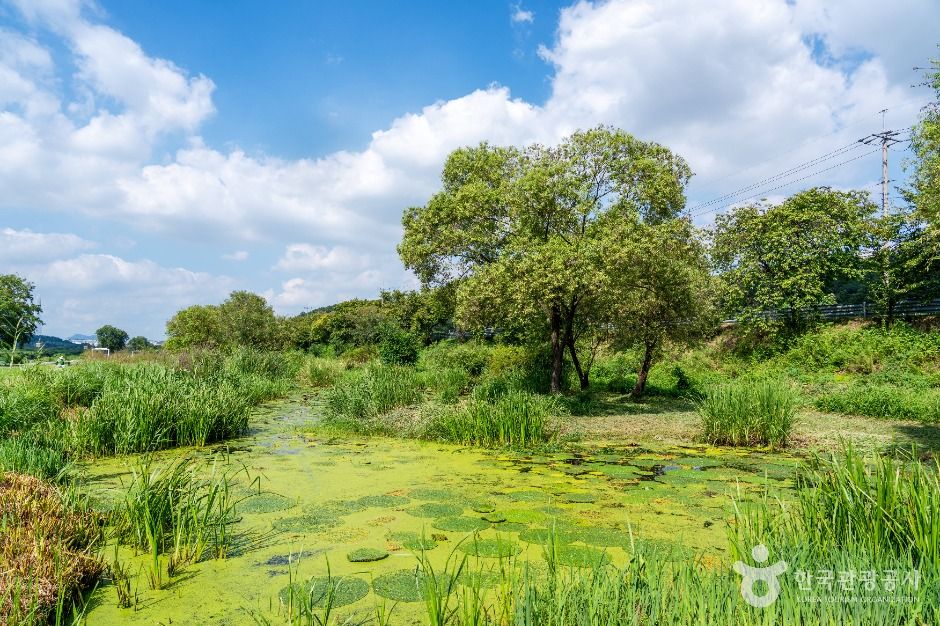 성남_탄천민물고기습지생태원 (5)