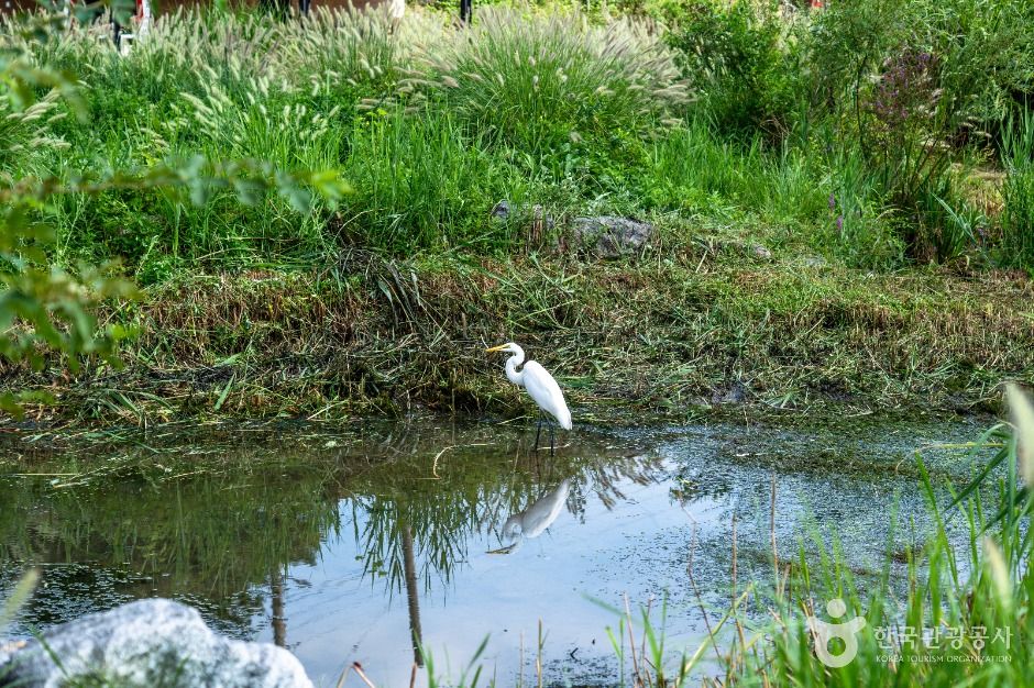 성남_탄천민물고기습지생태원 (7)