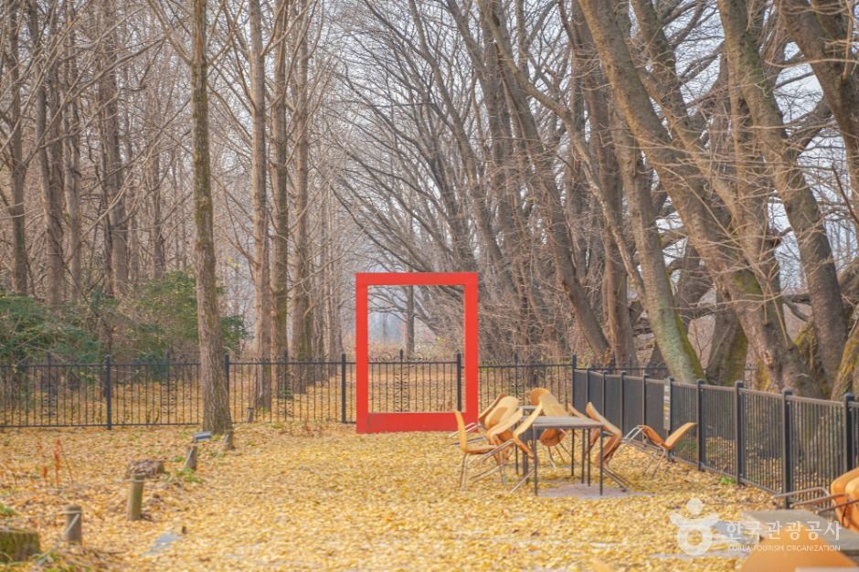 양평_파머스가든봄 (4)