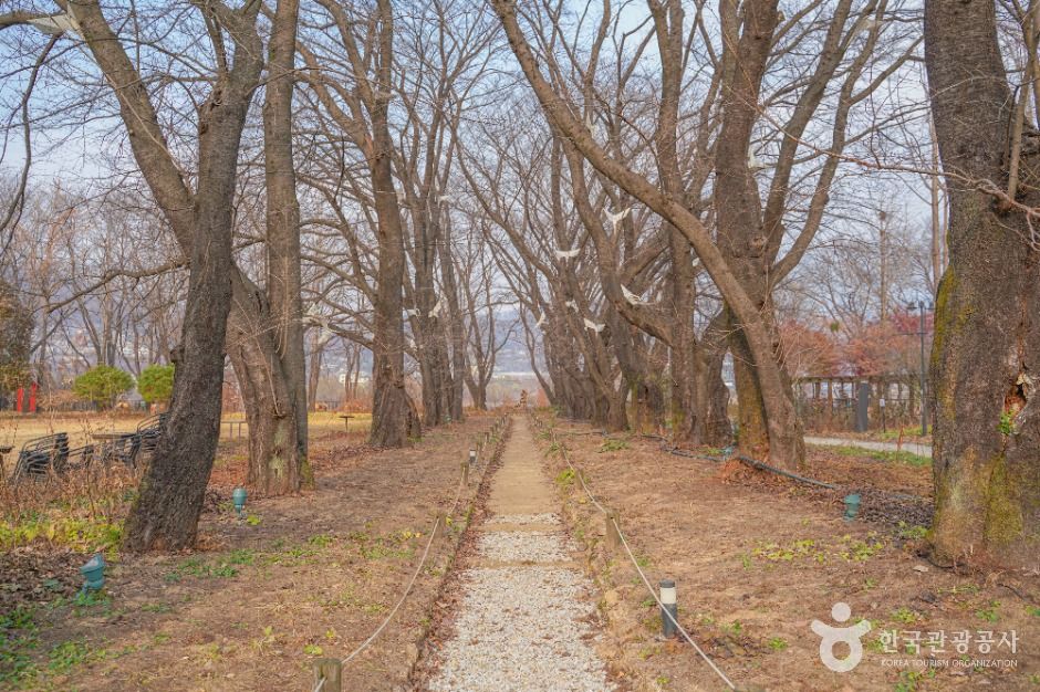 양평_파머스가든봄 (3)
