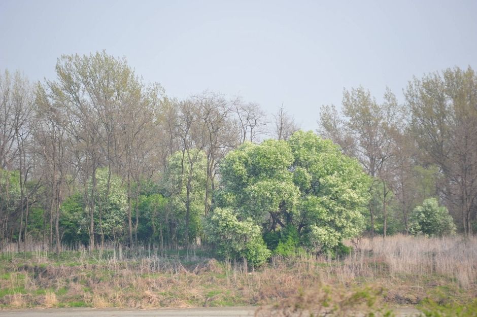 파주_파주 DMZ 생태연구소 (6)