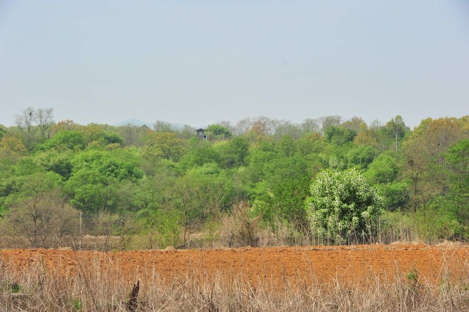 파주_파주 DMZ 생태연구소 (7)