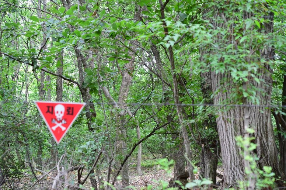 파주_파주 DMZ 생태연구소 (8)