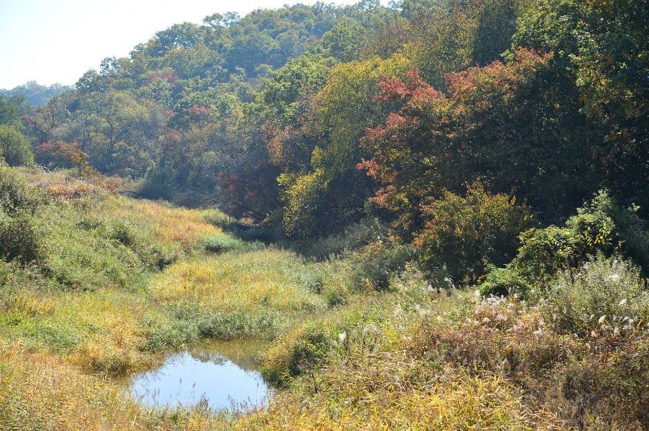 파주_파주 DMZ 생태연구소 (9)