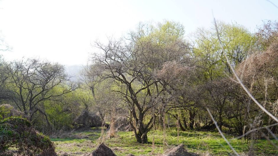 파주_파주 DMZ 생태연구소 (16)