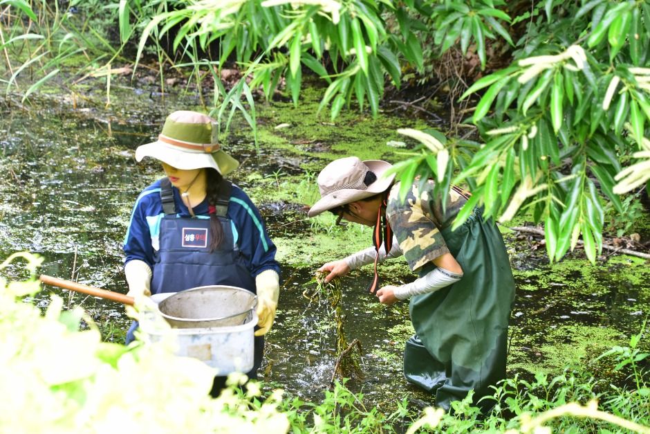 파주_파주 DMZ 생태연구소 (19)