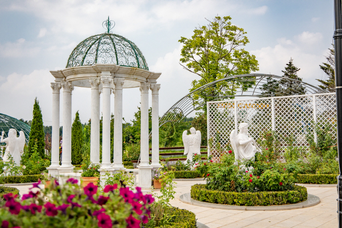 퍼스트가든 장미축제 2020(7)