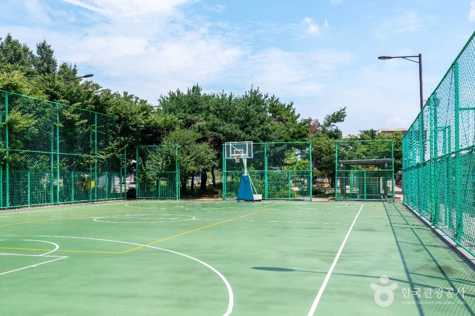 평택_포승레포츠공원 (3)