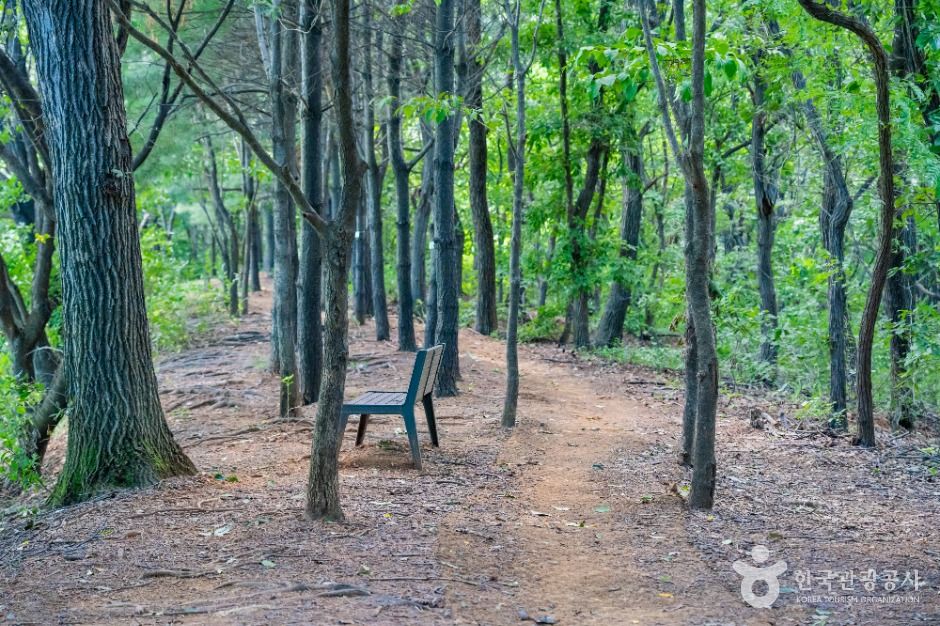 화성_하길체육공원 (3)