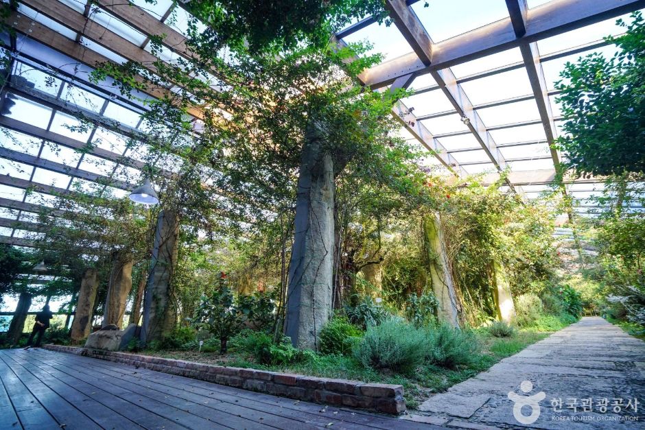 연천_허브빌리지 (3)