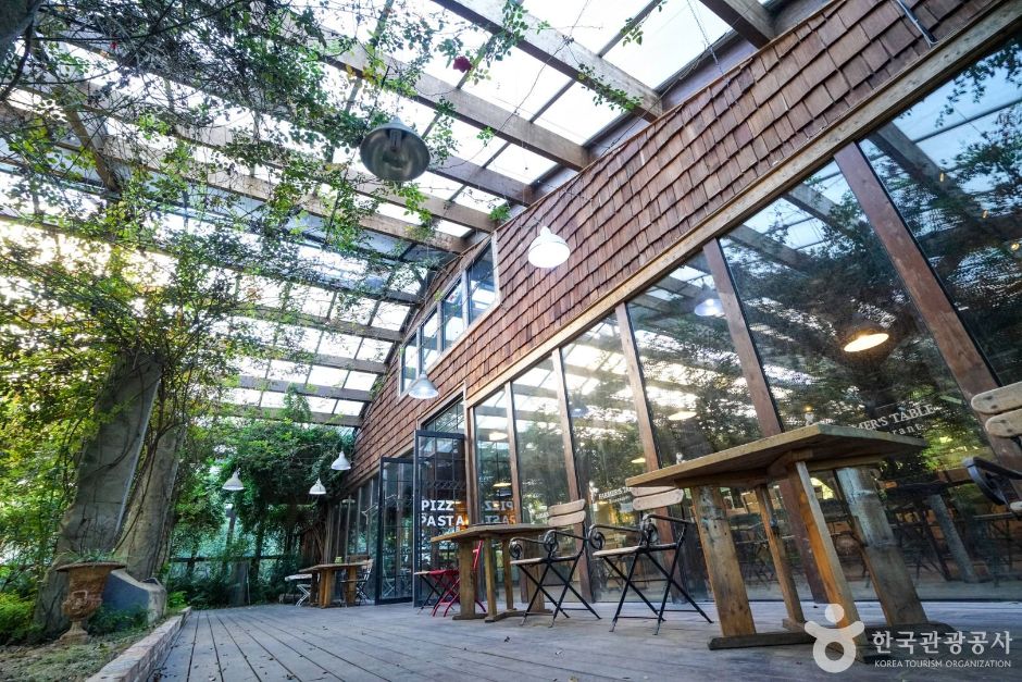 연천_허브빌리지 (4)